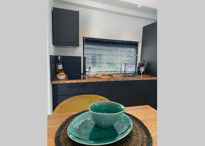 Tiny House Experience Oud Beijerland Appartement *